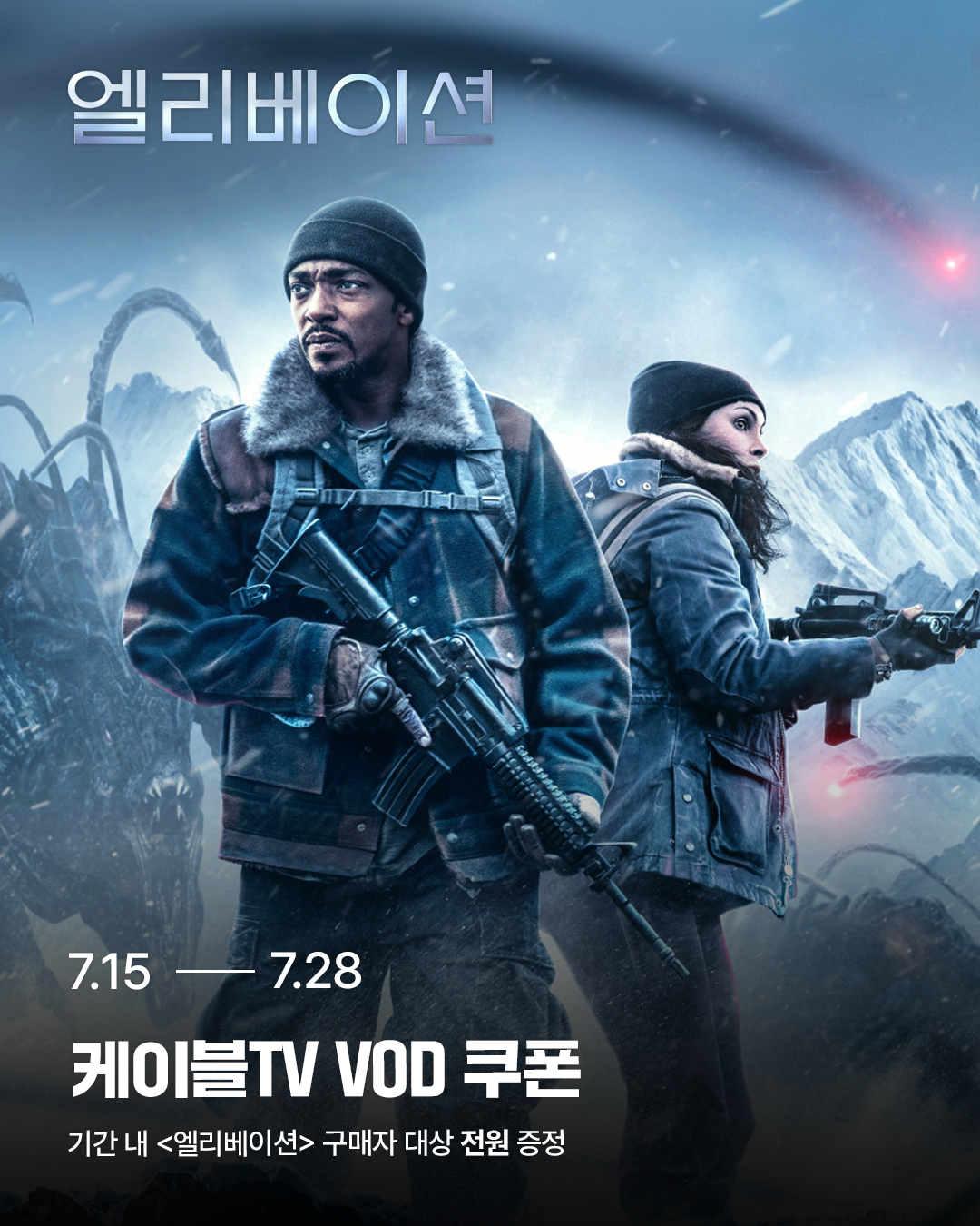 엘리베이션