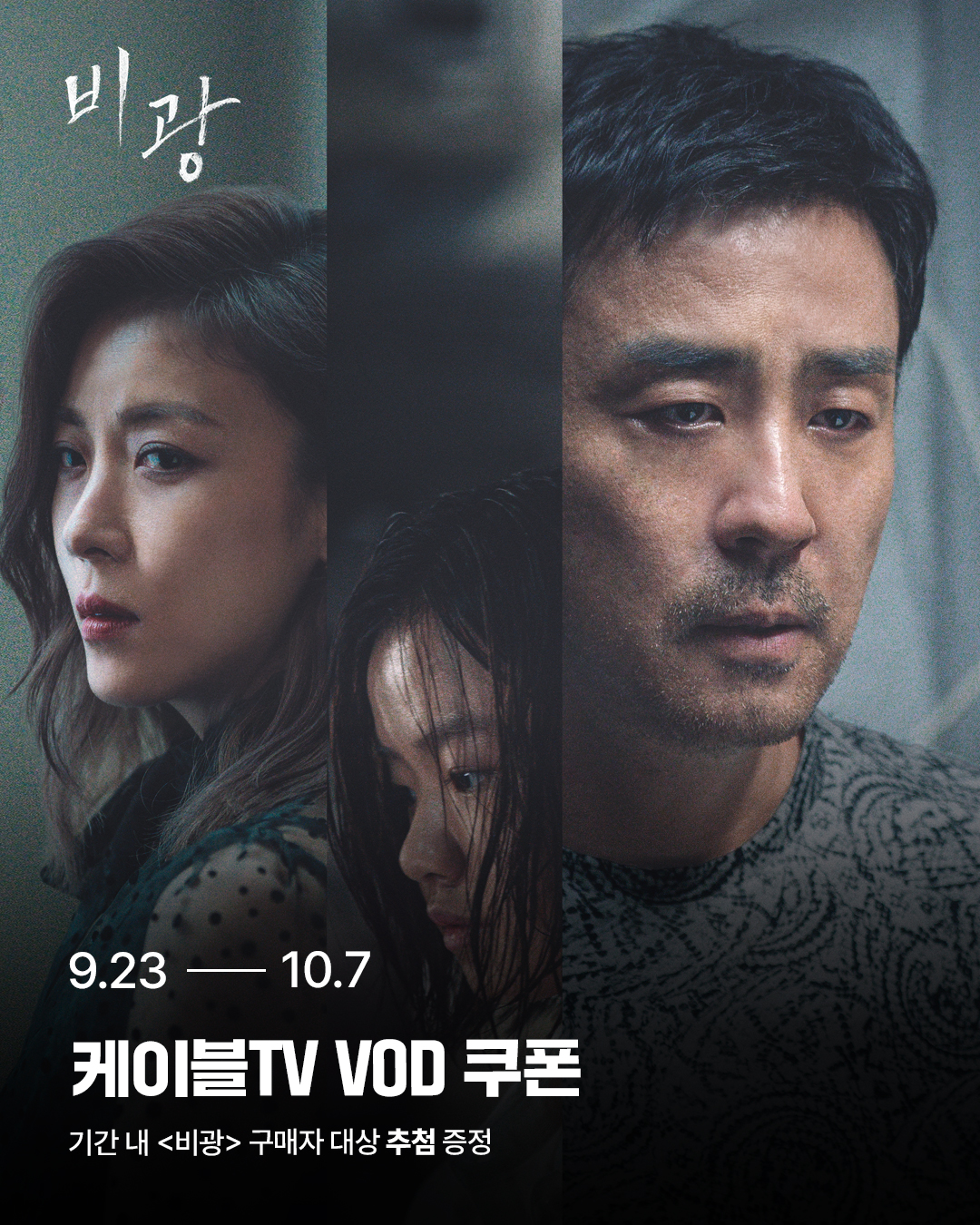 비광