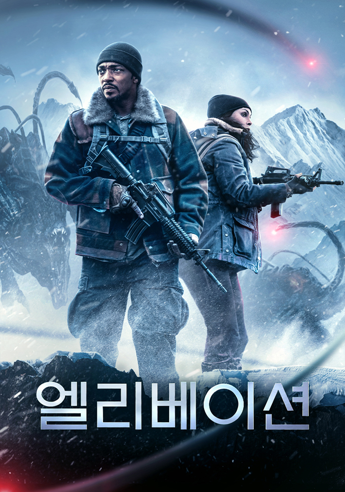 엘리베이션