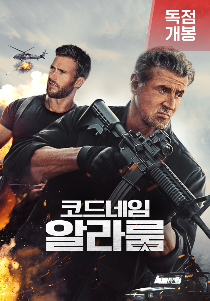 코드 네임 : 알라룸